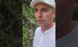 Mexiko: chrana deštných pralesů, zadržování vody v krajině -  Toroto.com